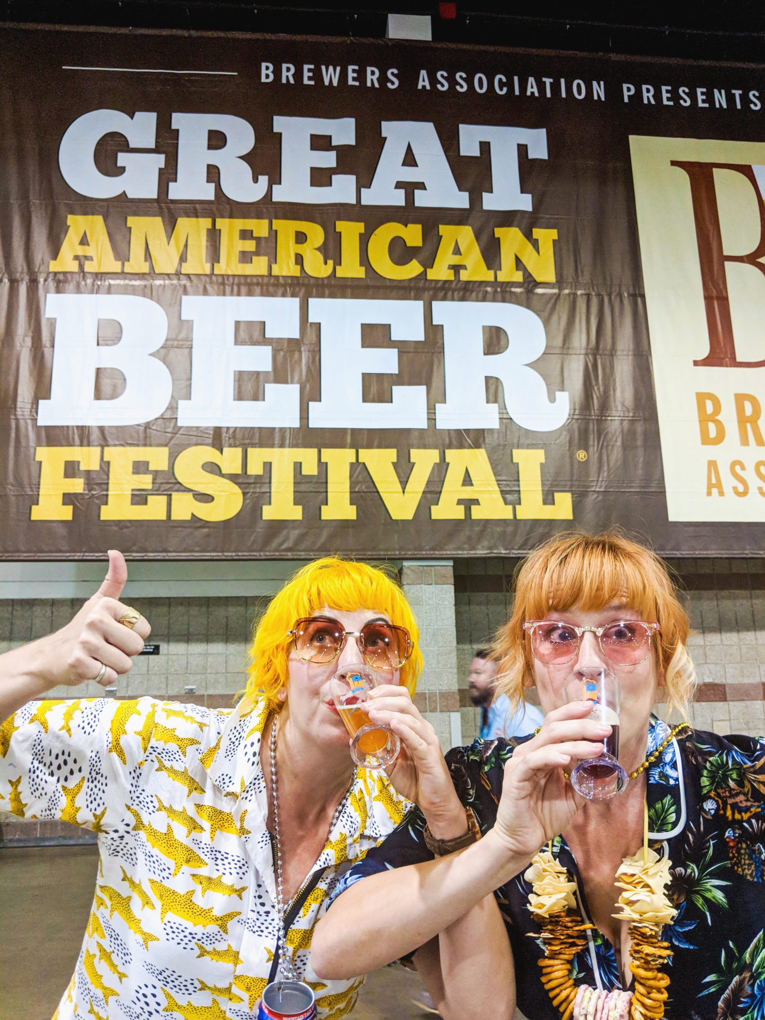 Don't Panic A craft drinker's guide to the Great American Beer